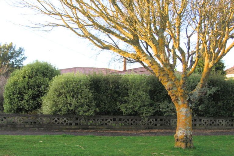 Photo of property in 14 Olwyn Terrace, Dinsdale, Hamilton, 3204