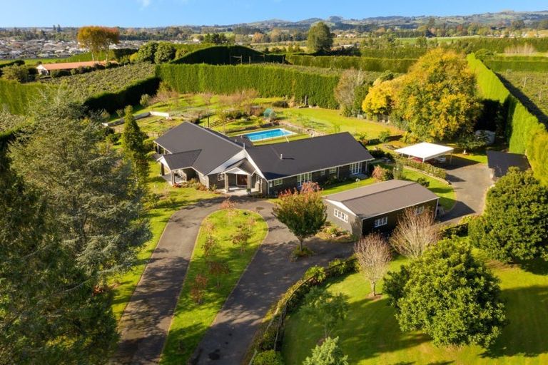 Photo of property in 202 Keenan Road, Pyes Pa, Tauranga, 3173