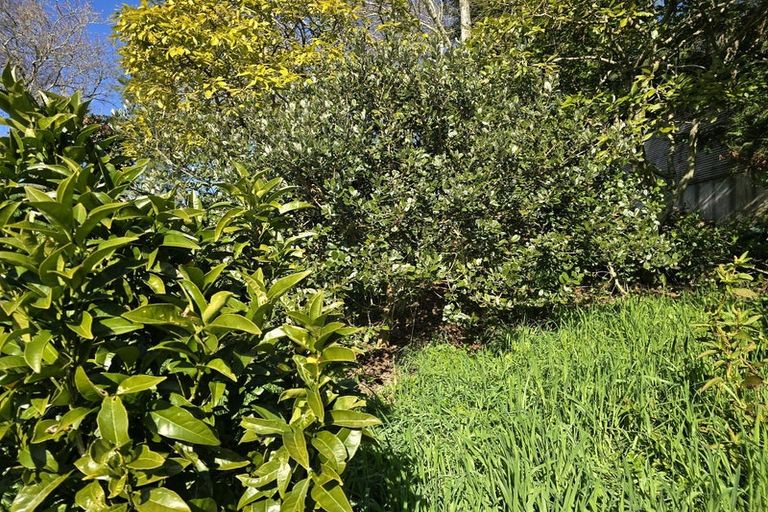 Photo of property in 177b Old Kaimai Road, Lower Kaimai, Tauranga, 3171