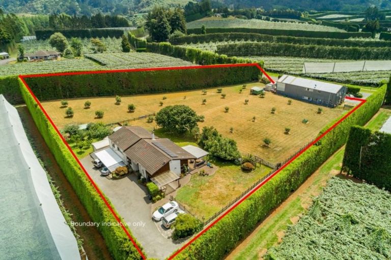 Photo of property in 361 Manoeka Road, Te Puke, 3183
