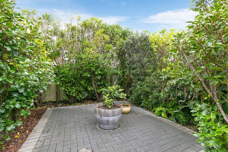 Photo of property in 8 Lingard Grove, Brooklyn, Wellington, 6021