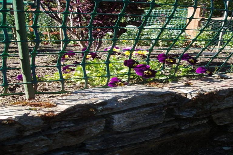 Photo of property in 9 Fastness Crescent, Wanaka, 9305