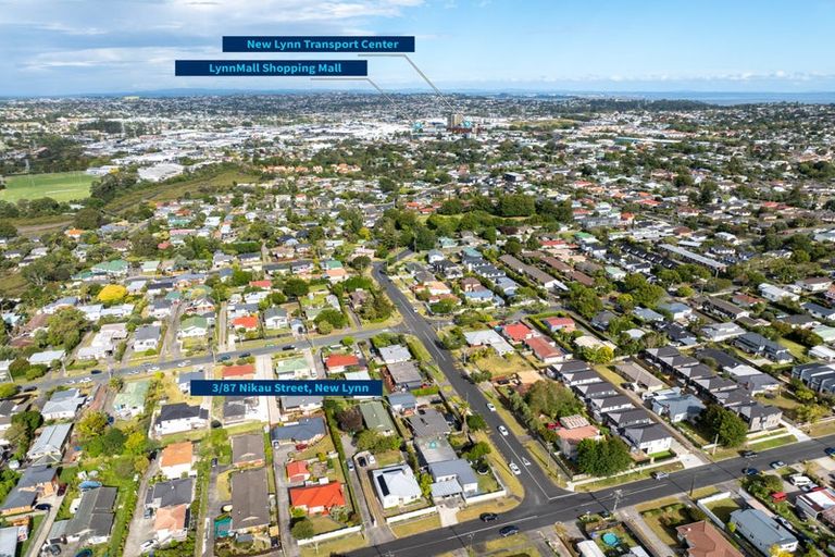 Photo of property in 87 Nikau Street, New Lynn, Auckland, 0600