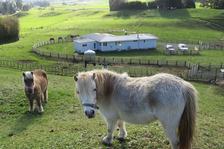Photo of property in 60b Newell Road, Tokoroa, 3491