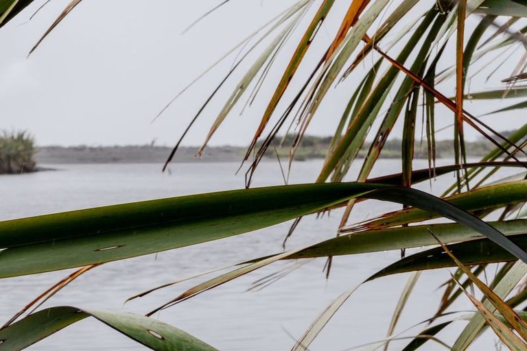 Photo of property in 27 Cooper Road, Gladstone, Greymouth, 7805