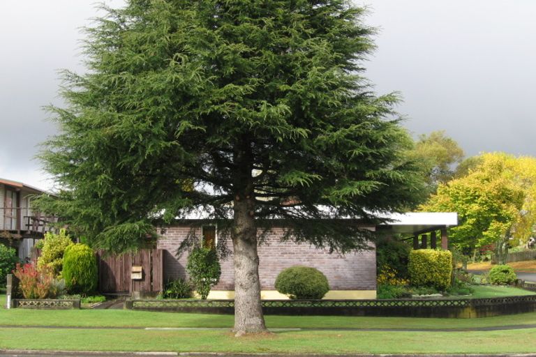 Photo of property in 15 East Parkdale Street, Tokoroa, 3420