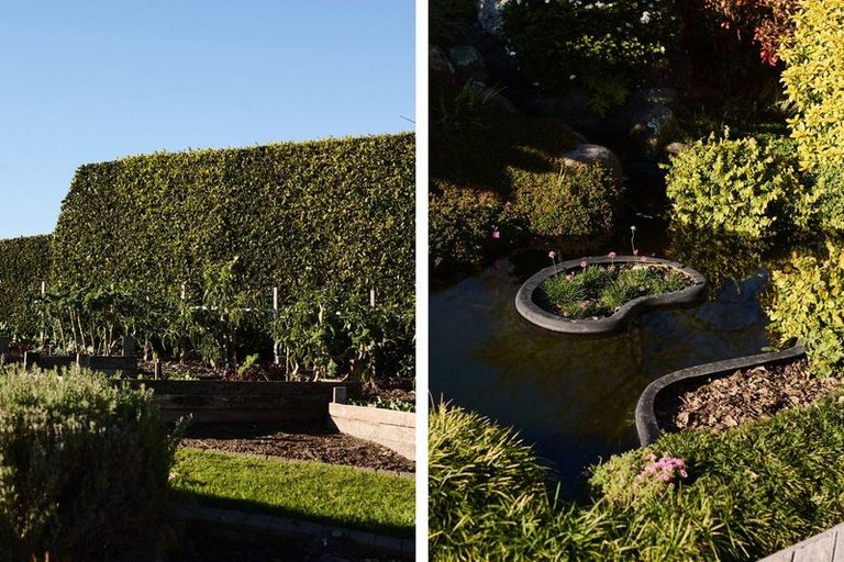 Photo of property in 9 Tupelo Place, Ohauiti, Tauranga, 3112