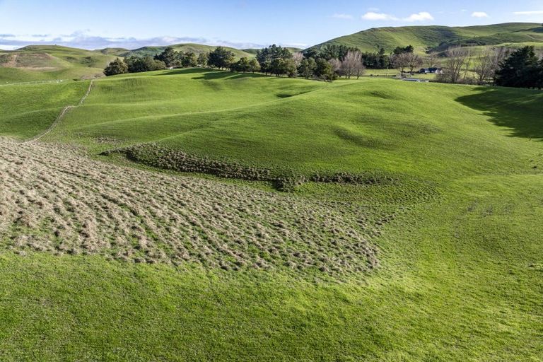 Photo of property in 930 Te Aute Trust Road, Poukawa, 4178