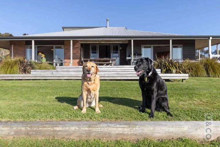 Photo of property in 457 Kiwitahi Road, Helensville, 0875