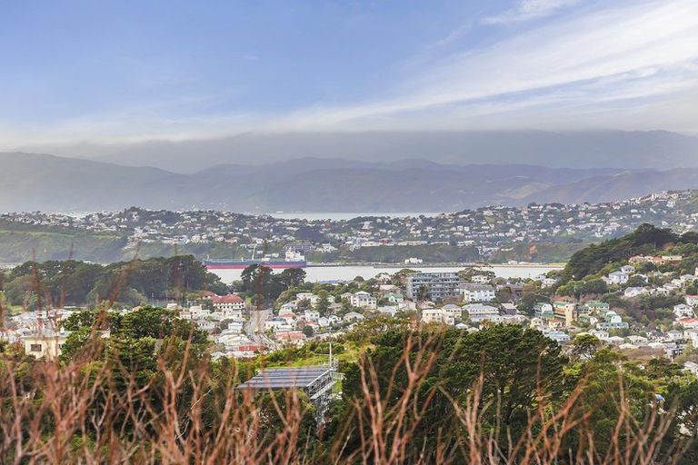 Photo of property in 25u7 Mana Street, Vogeltown, Wellington, 6021