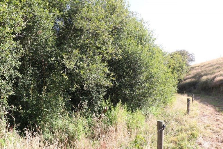 Photo of property in 372 Ngaruawahia Road, Ngaruawahia, Hamilton, 3288