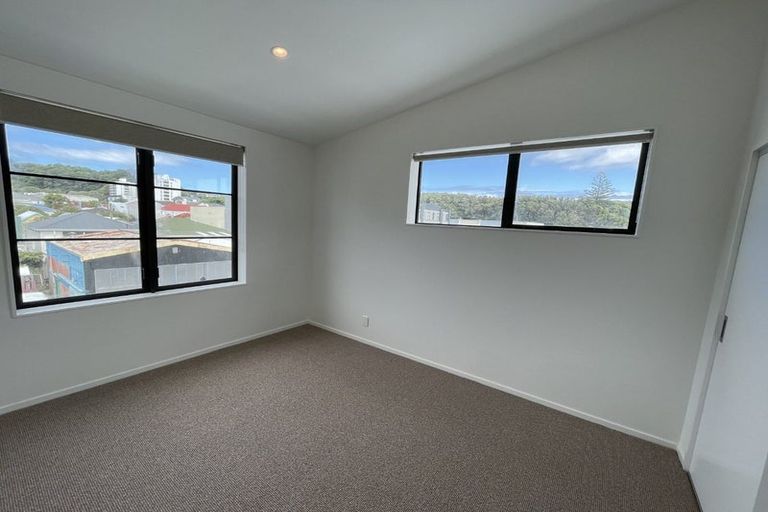Photo of property in Aniva Terrace, 21 Arney Street, Newtown, Wellington, 6021