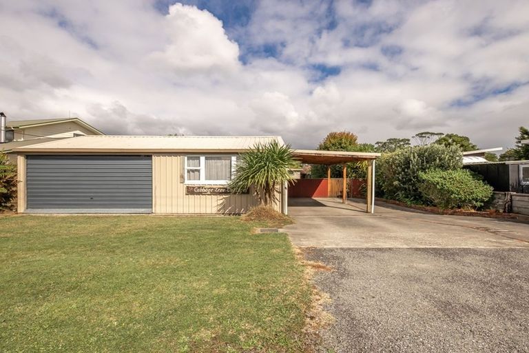 Photo of property in 6 Shelswell Street, Westport, 7825