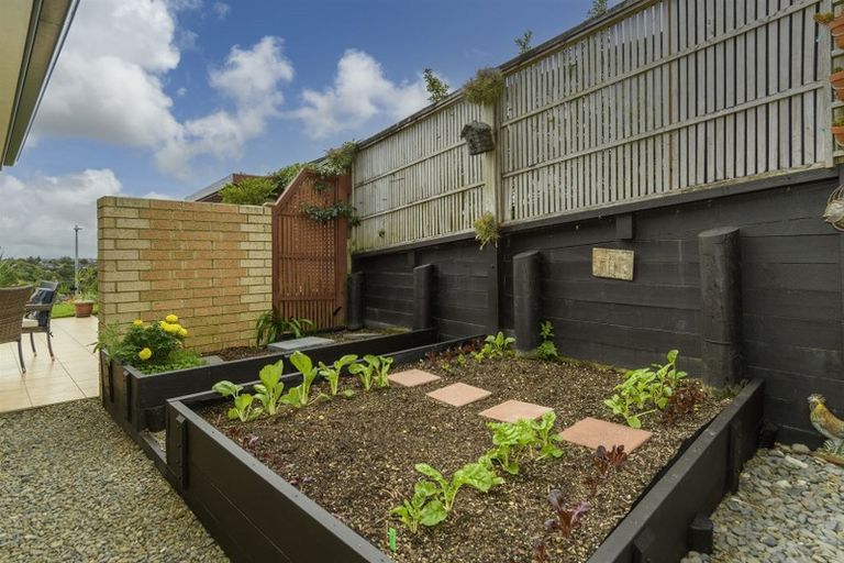 Photo of property in 53 Hallmark Rise, Bethlehem, Tauranga, 3110