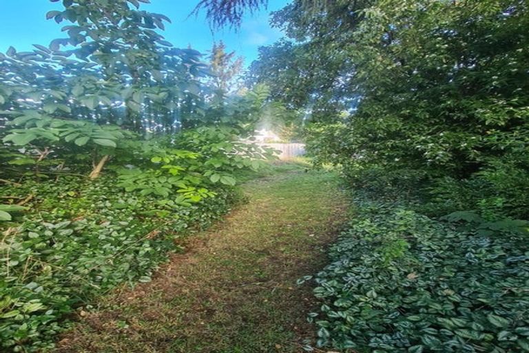 Photo of property in 8 Queen Street, Springfield, 7681