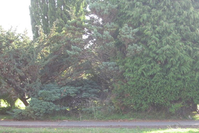 Photo of property in 38 Rathgar Road, Henderson, Auckland, 0610