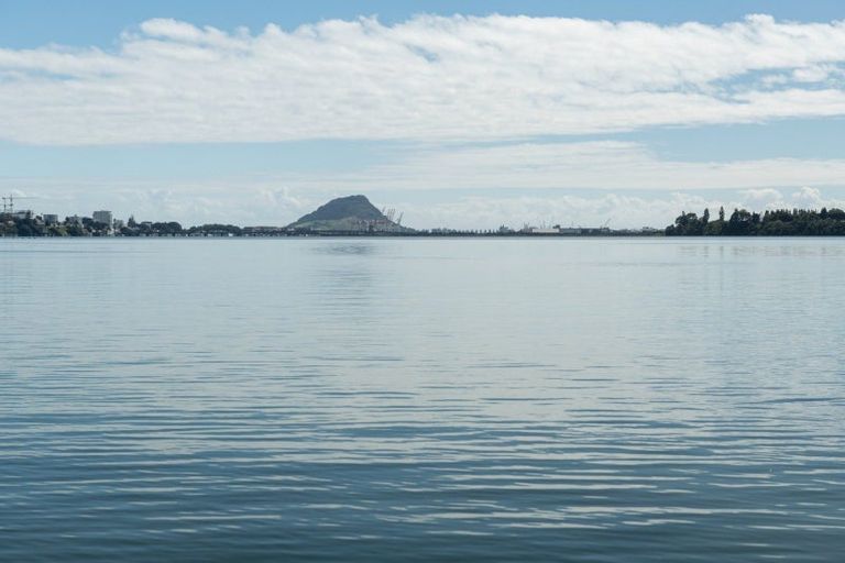 Photo of property in 202 Maungatapu Road, Maungatapu, Tauranga, 3112