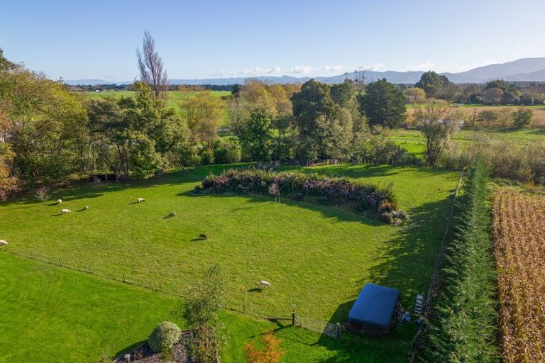 Photo of property in 133a Papawai Road, Greytown, 5794