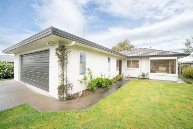 Photo of property in 107 Fraser Drive, Feilding, 4702
