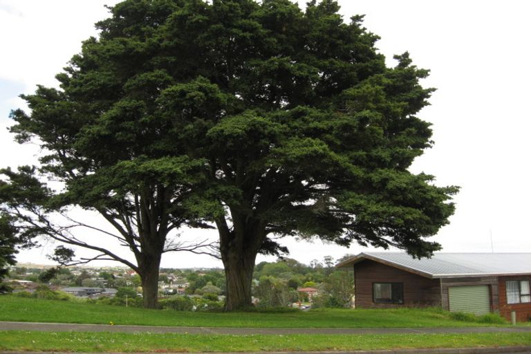 Photo of property in 1 Len Brown Place, Pukekohe, 2120