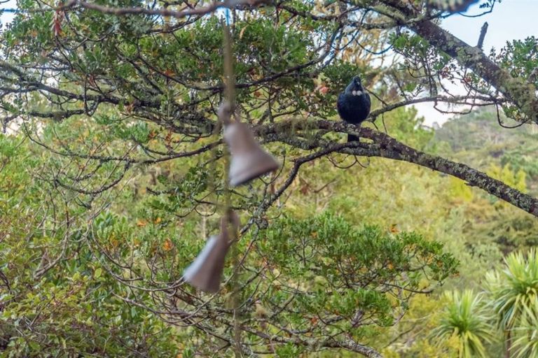 Photo of property in 8 Hebe Place, Birkenhead, Auckland, 0626