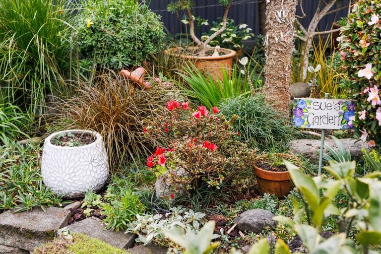 Photo of property in 1a Haggitt Street, Feilding, 4702