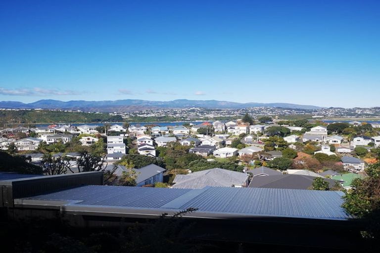 Photo of property in 93 Rakau Road, Hataitai, Wellington, 6021