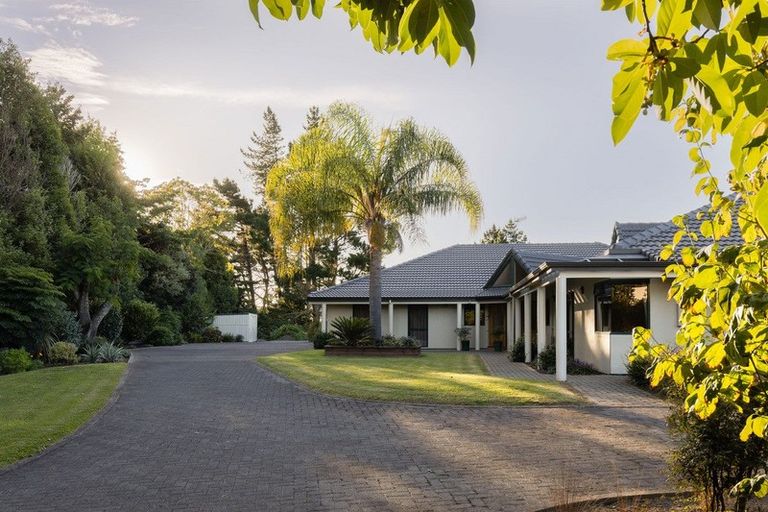 Photo of property in 8r Freeburn Road, Pyes Pa, Tauranga, 3112