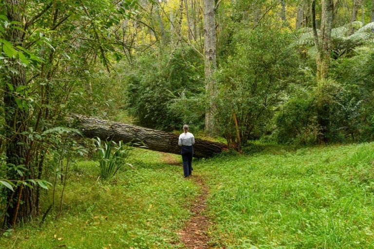 Photo of property in 125 Boscabel Drive, Ohauiti, Tauranga, 3112