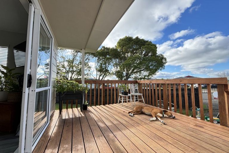 Photo of property in 17 Elisa Lane, Ranui, Auckland, 0612