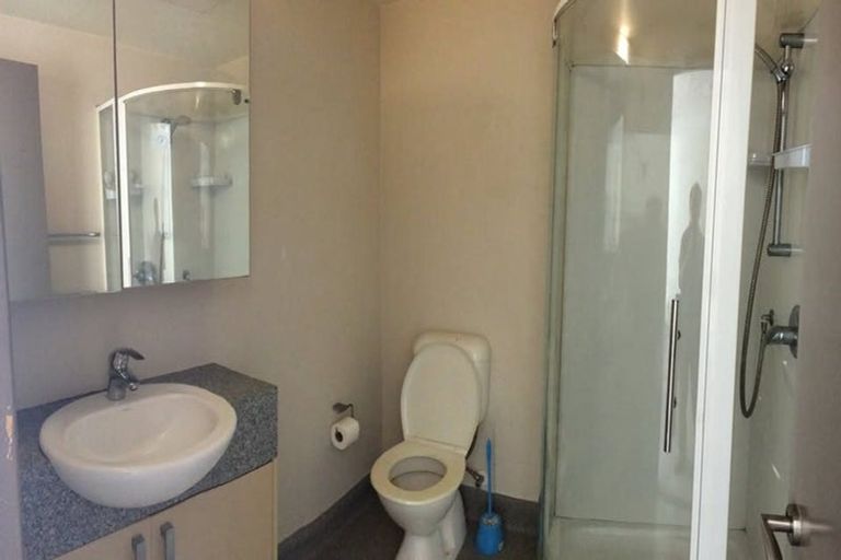 Photo of property in Dual Apartments, 503/142 Vivian Street, Te Aro, Wellington, 6011