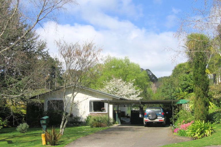 Photo of property in 13 Gallagher Street, Springfield, Rotorua, 3015