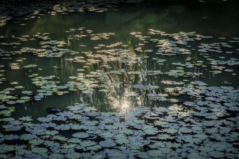 Photo of property in 14 Ohuka Place, Whitianga, 3510