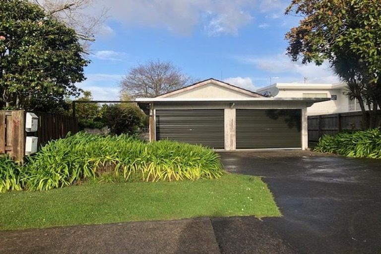 Photo of property in 17 Eyre Street, Henderson, Auckland, 0612