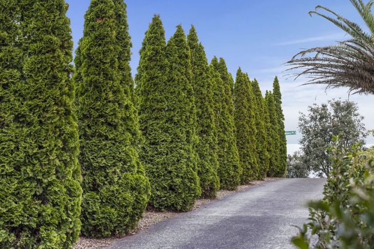 Photo of property in 7 Jubaea Place, Henderson, Auckland, 0610