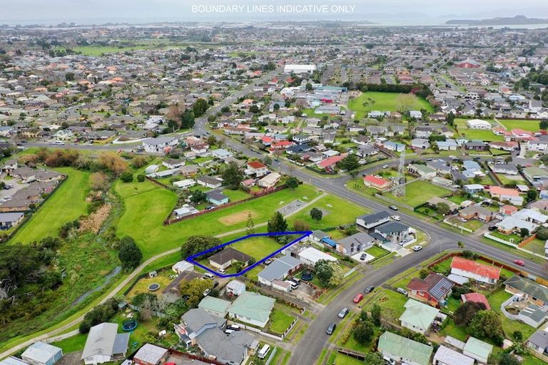 Photo of property in 9 Lachlan Place, Favona, Auckland, 2024