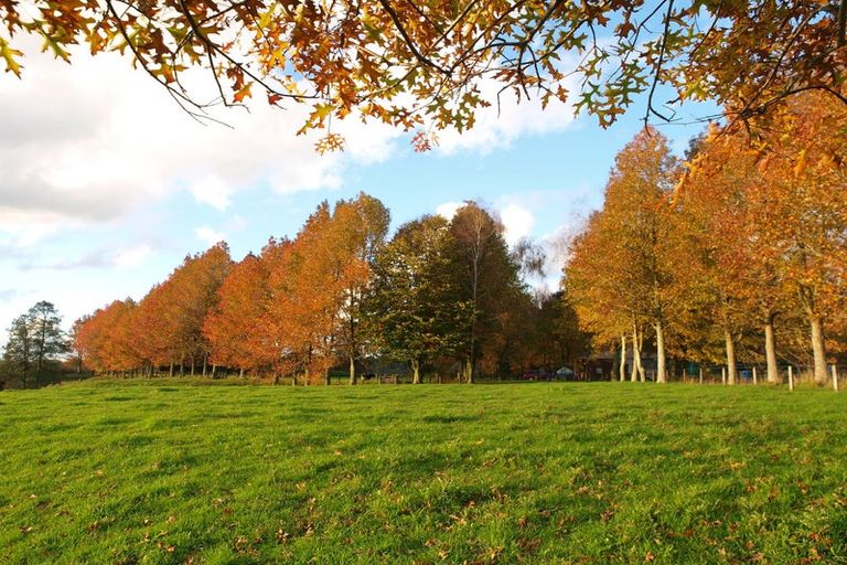 Photo of property in 64 Peacockes Lane, Peacocke, Hamilton, 3282