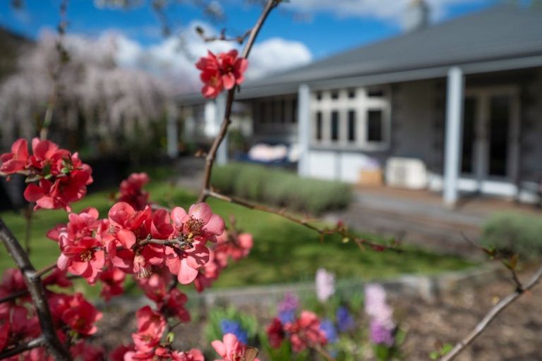 Photo of property in 29 Hazlett Street, Clyde, 9330