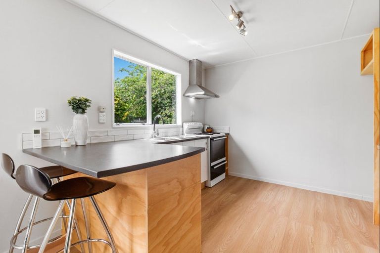 Photo of property in 45 Green Avenue, Levin, 5510
