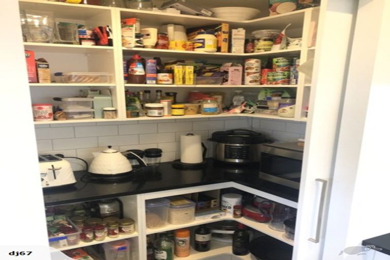 Photo of property in 17 Maple Avenue, Dinsdale, Hamilton, 3204