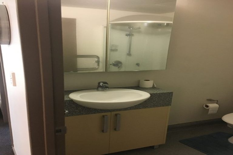 Photo of property in Dual Apartments, 108/142u Vivian Street, Te Aro, Wellington, 6011