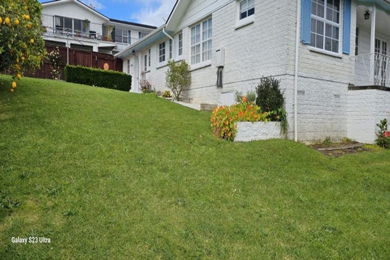 Photo of property in 65 Poaka Avenue, Dinsdale, Hamilton, 3204