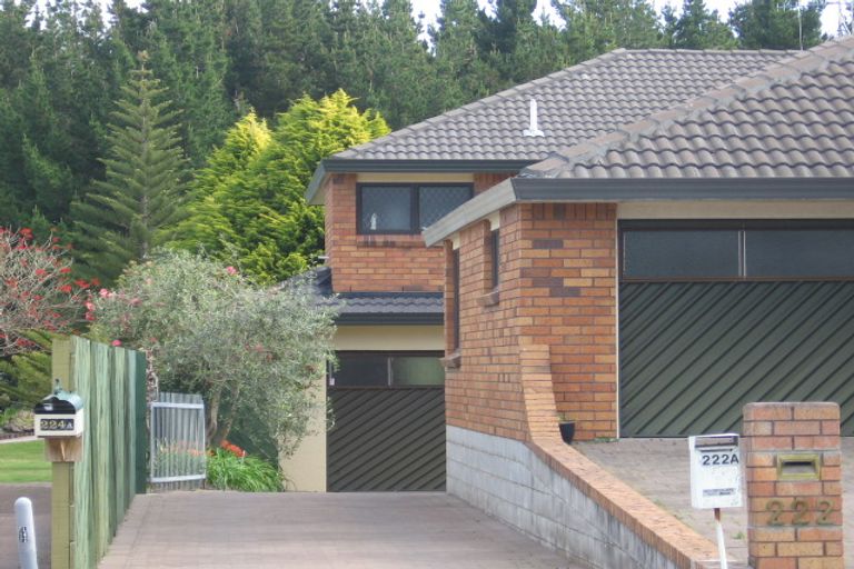 Photo of property in 222a Oceanbeach Road, Mount Maunganui, 3116