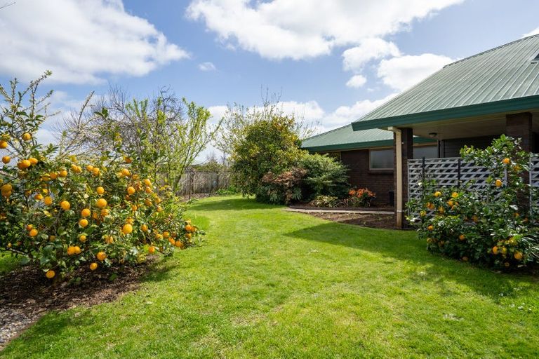 Photo of property in 9 Oaklands Drive, Cambridge, 3434