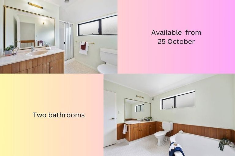 Photo of property in 21 Moxham Avenue, Hataitai, Wellington, 6021