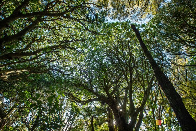 Photo of property in 166b Heard Road, Waihi, 3681