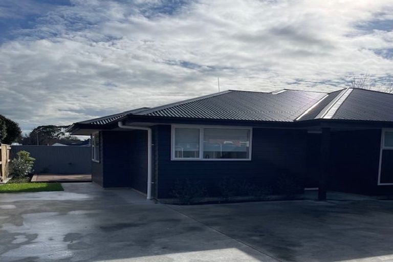Photo of property in 117 Limbrick Street, Terrace End, Palmerston North, 4410