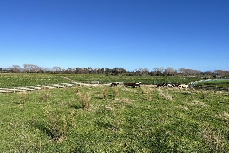 Photo of property in 111a Muhunoa Road West, Ohau, 5570