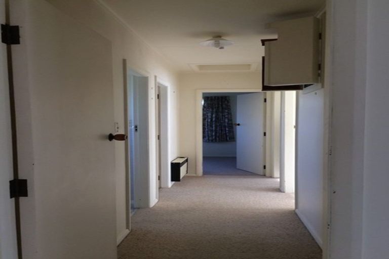 Photo of property in 45 Graham Street, Levin, 5510
