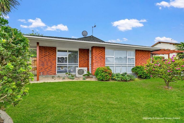 Photo of property in 45 Dittmer Drive, Awapuni, Palmerston North, 4412